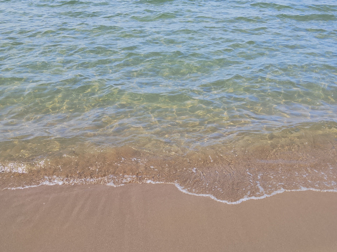 Spiaggia dell'Osa-奥尔贝泰洛必去景点