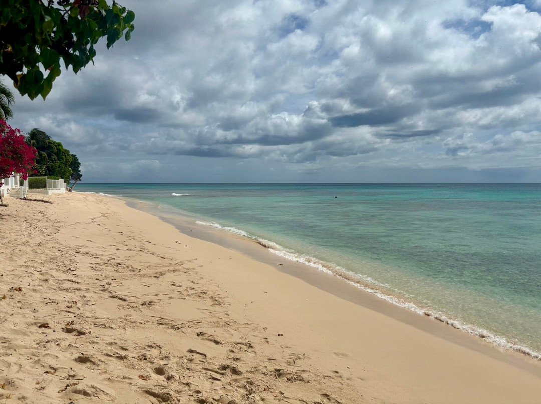 Bikini Beach Barbados