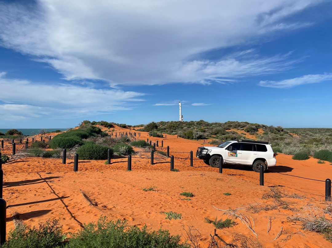 Shark Bay Coastal Tours-德纳姆必去景点