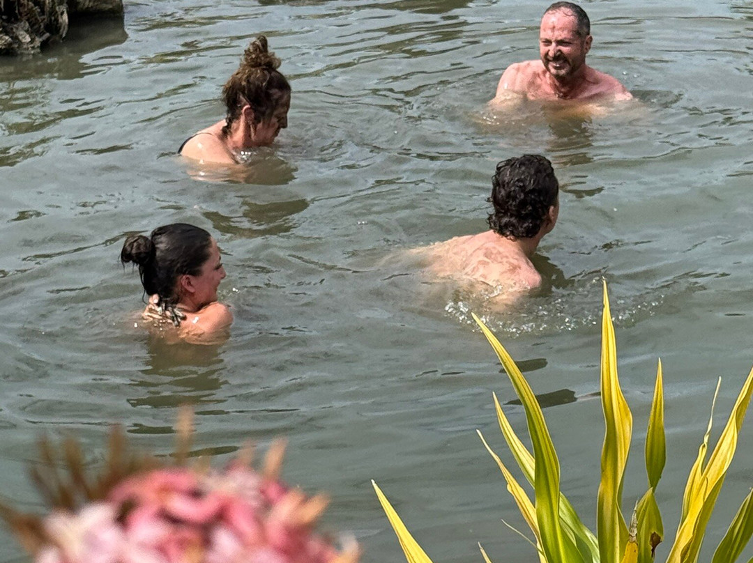 Tifajek Mud Pool Hot Spring And Tours-Votualevu必去景点