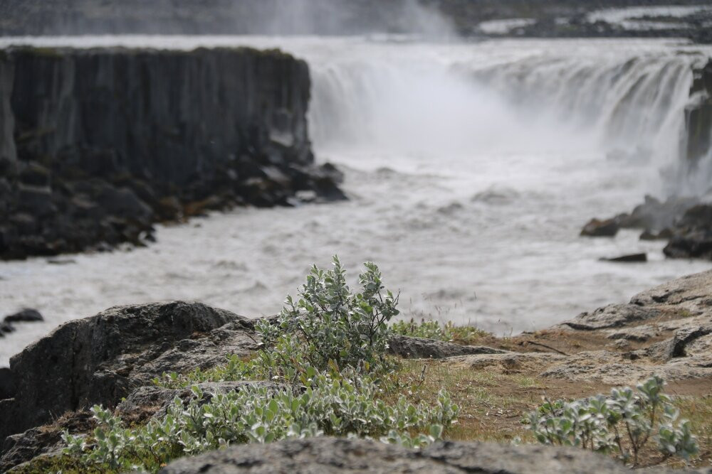 Selfoss Waterfall-Northeast Region必去景点
