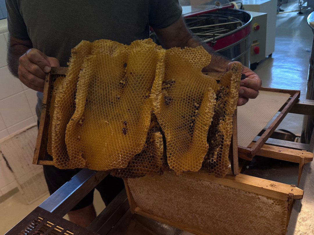 Corfu Beekeeping Vasilakis-Vatos必去景点