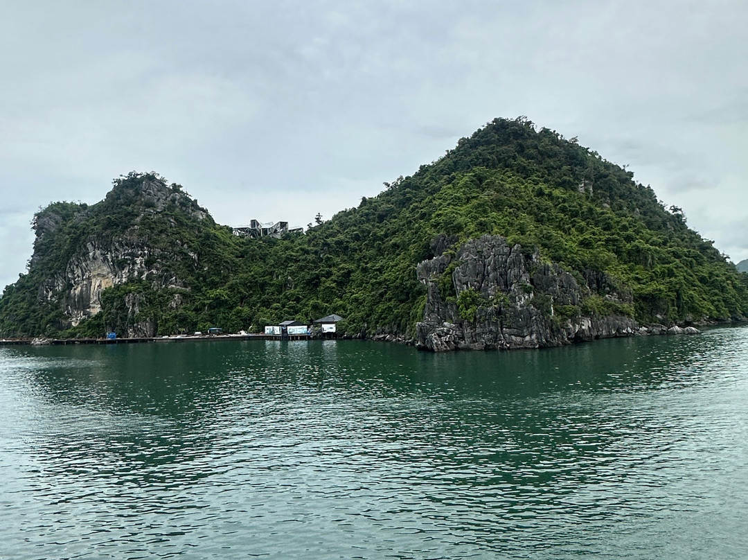 Sea Lavie Cruise-Quang Ninh必去景点