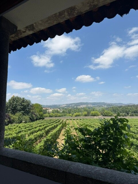 Quinta da Aveleda-Penafiel必去景点
