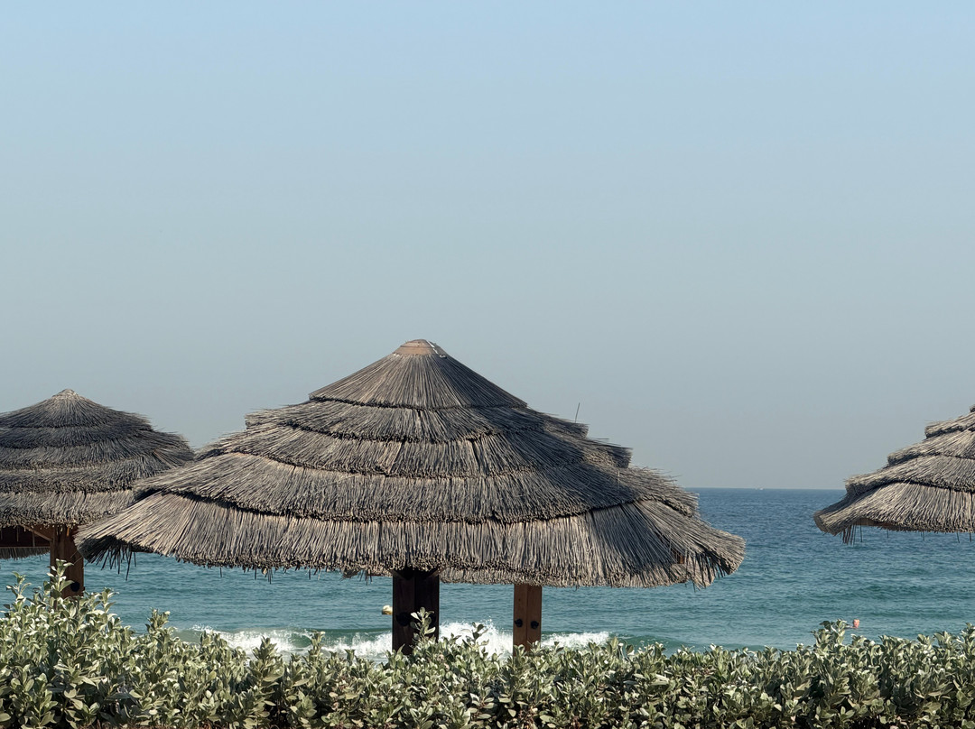 Ajman Hotel & Villas by Blazon Hotels主图