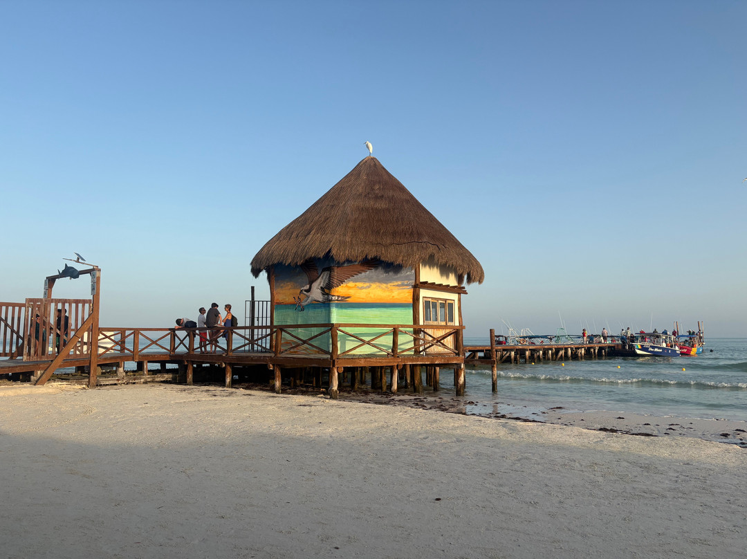 Isla Holbox-Holbox Island必去景点