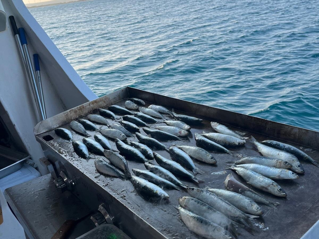 Leucate Évasion Marine-Port Leucate必去景点