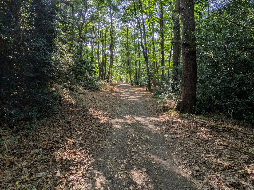 Caesar's Camp-Crowthorne必去景点