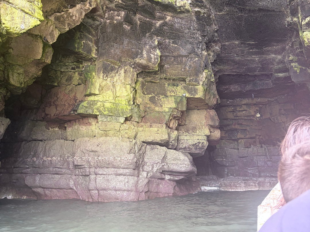 North Landing Boat Tours and Fishing Trips-Flamborough必去景点