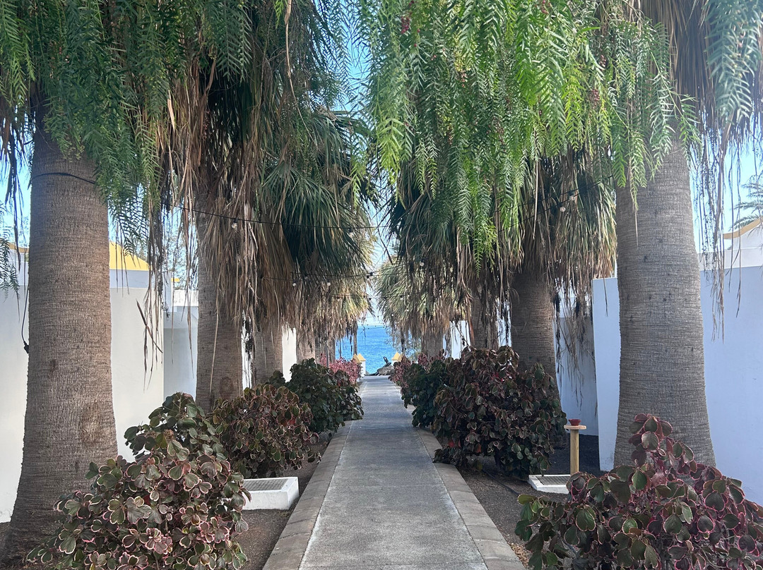 桑多斯大西洋花园酒店 - 限成人主图