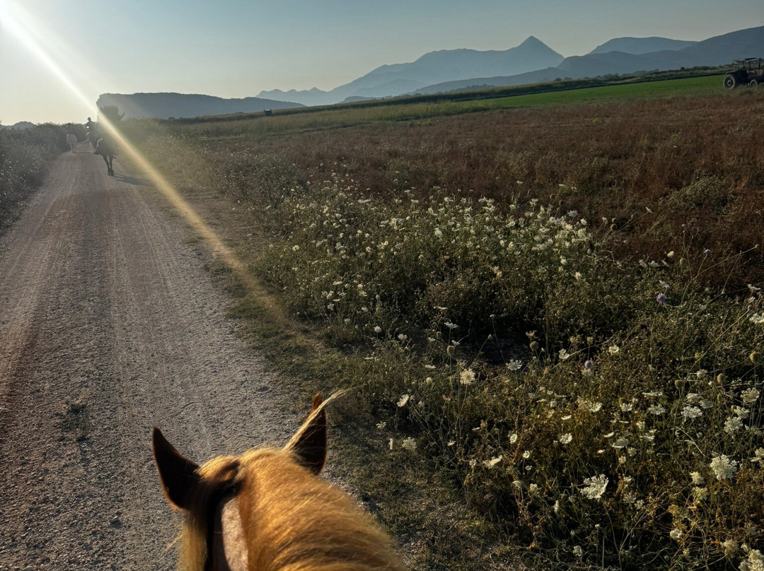 Horse Riding Alonaki-Valanidorrachi必去景点