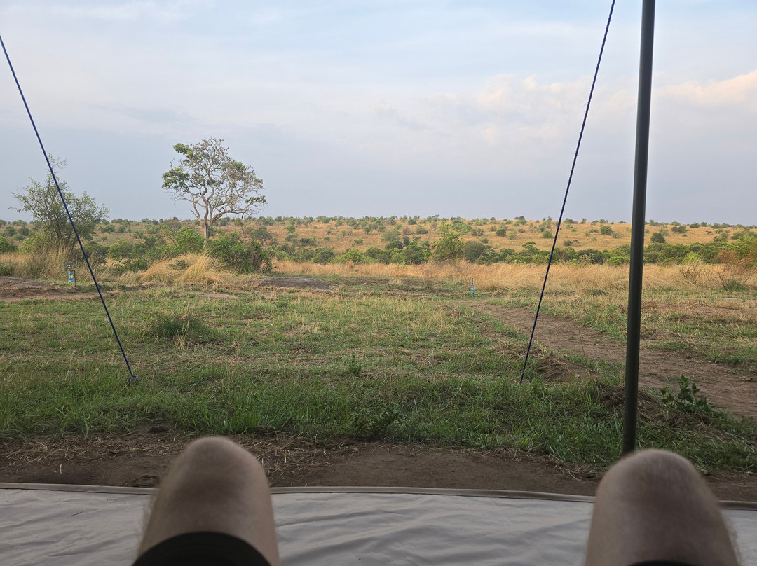 Mara Bush Camp