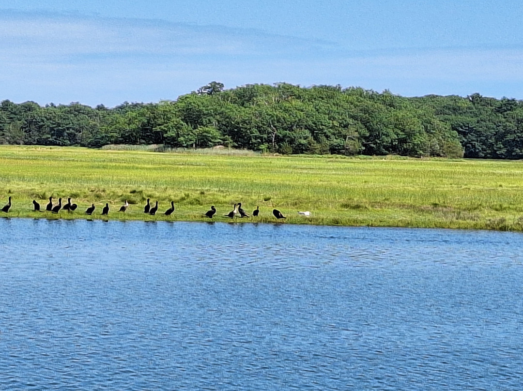 Essex River Cruises & Charters-Essex必去景点