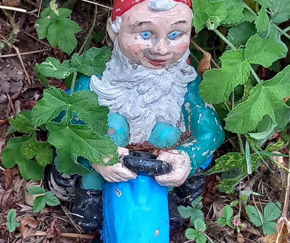 The Gnome Reserve-West Putford必去景点