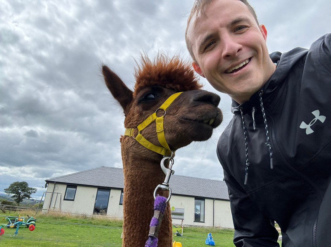 The Alpaca Trekking Centre-斯特灵必去景点