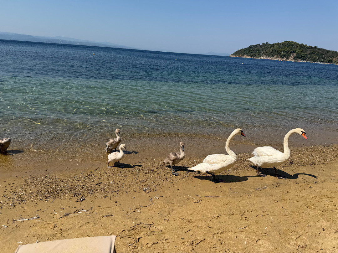 Maratha Beach-Maratha必去景点