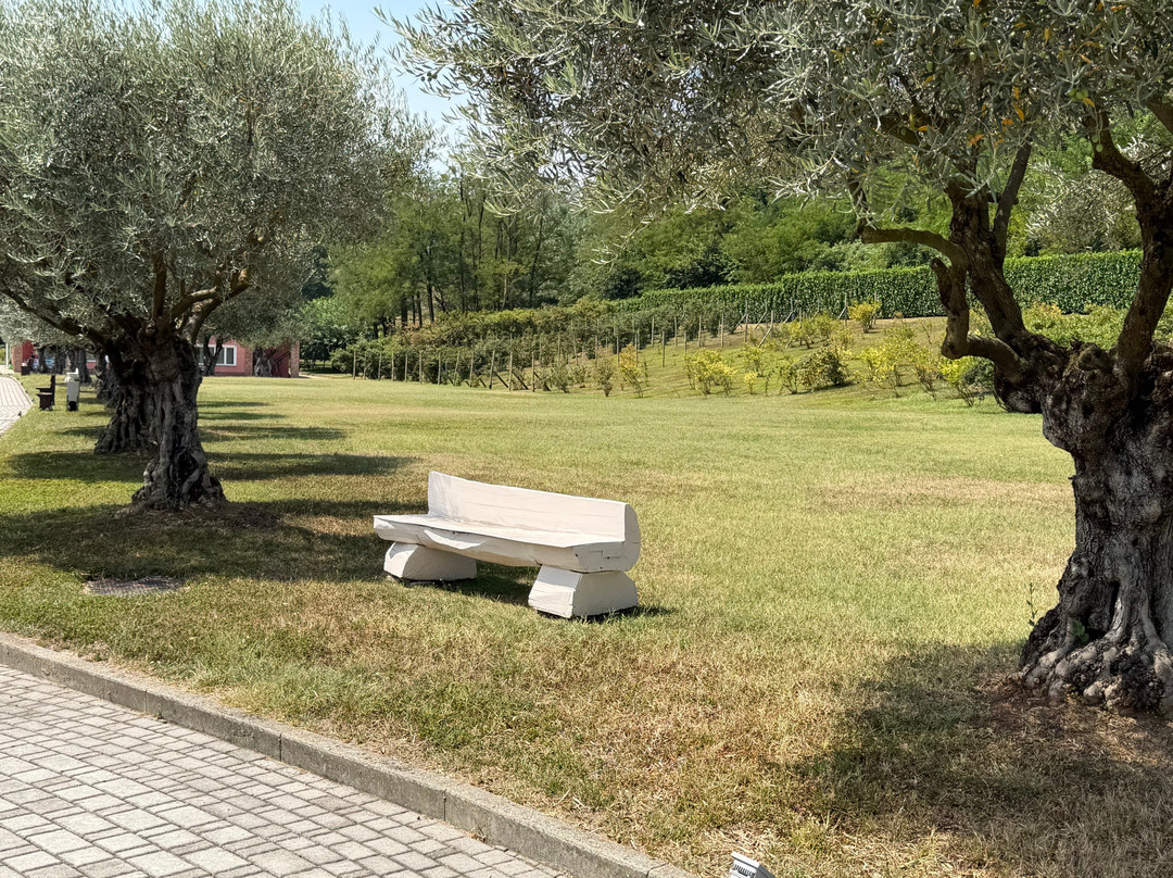 Tenuta La Vigna主图