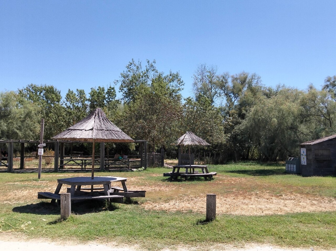 Les Marais Du Vigueirat - Arles Camargue-阿尔勒必去景点