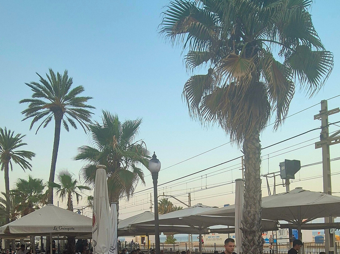 Badalona Beach-巴达洛纳必去景点