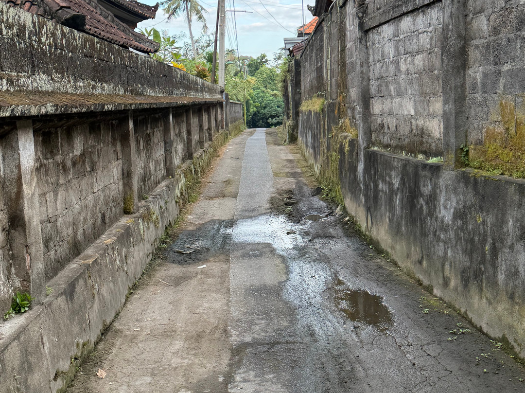 Tresna Bali Cooking School-Bedulu必去景点