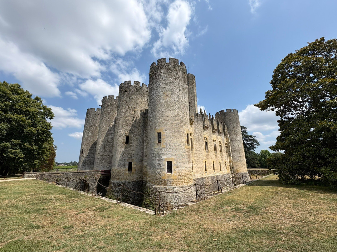 Chateau de Roquetaillade-Mazeres必去景点