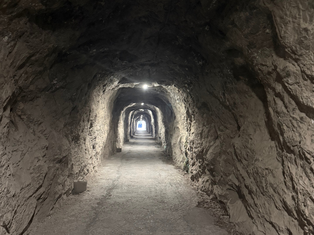 Senda Del Oso Experience - Teverastur-Teverga Municipality必去景点