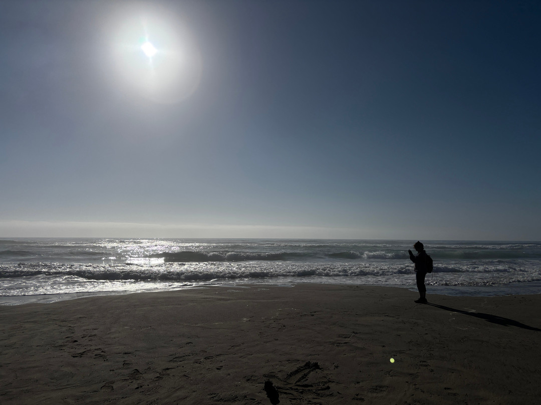 Rockaway Beach Wayside-Rockaway Beach必去景点