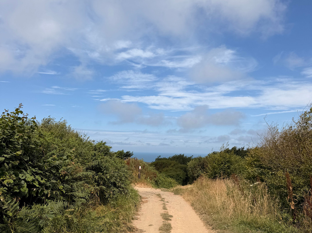 Warcombe Farm Camping Park主图