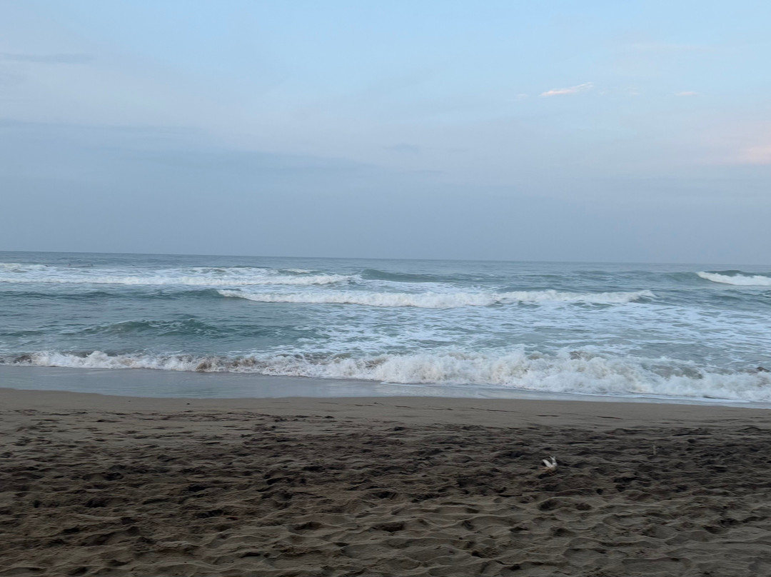 Playa Cocles-Cocles必去景点