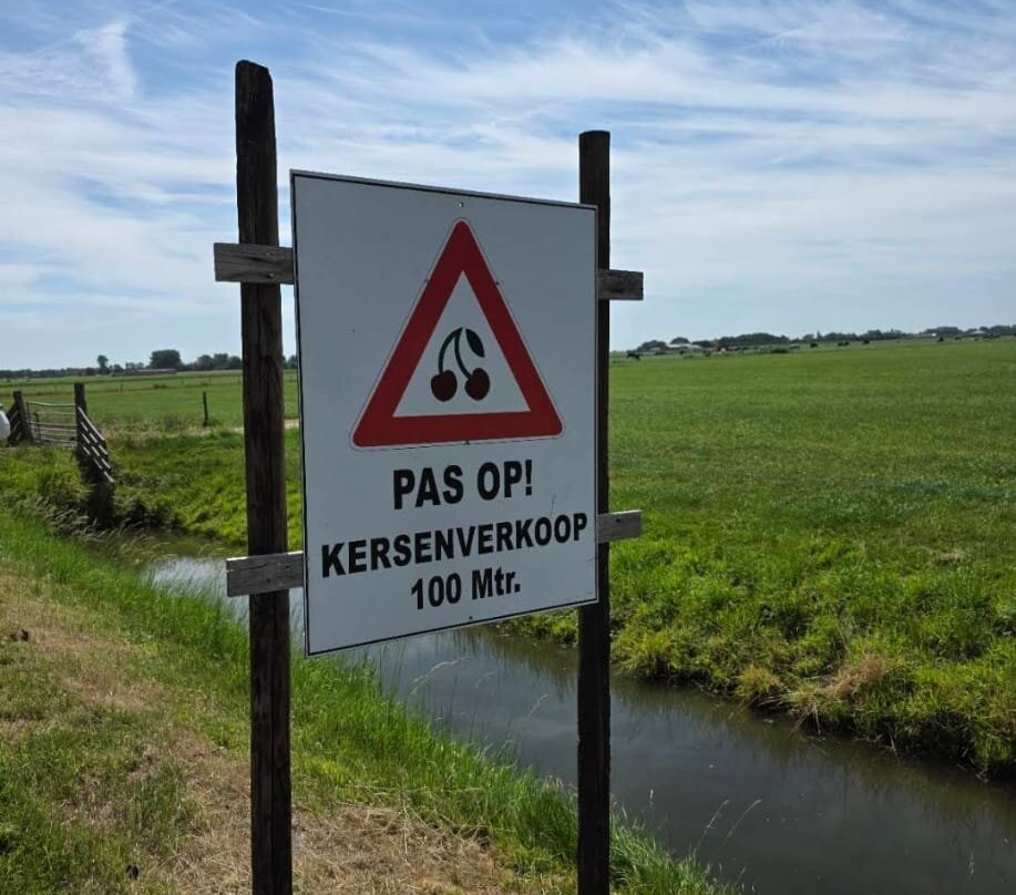 Fruitteelbedrijf Siem Entius (Kersen en pruimen)