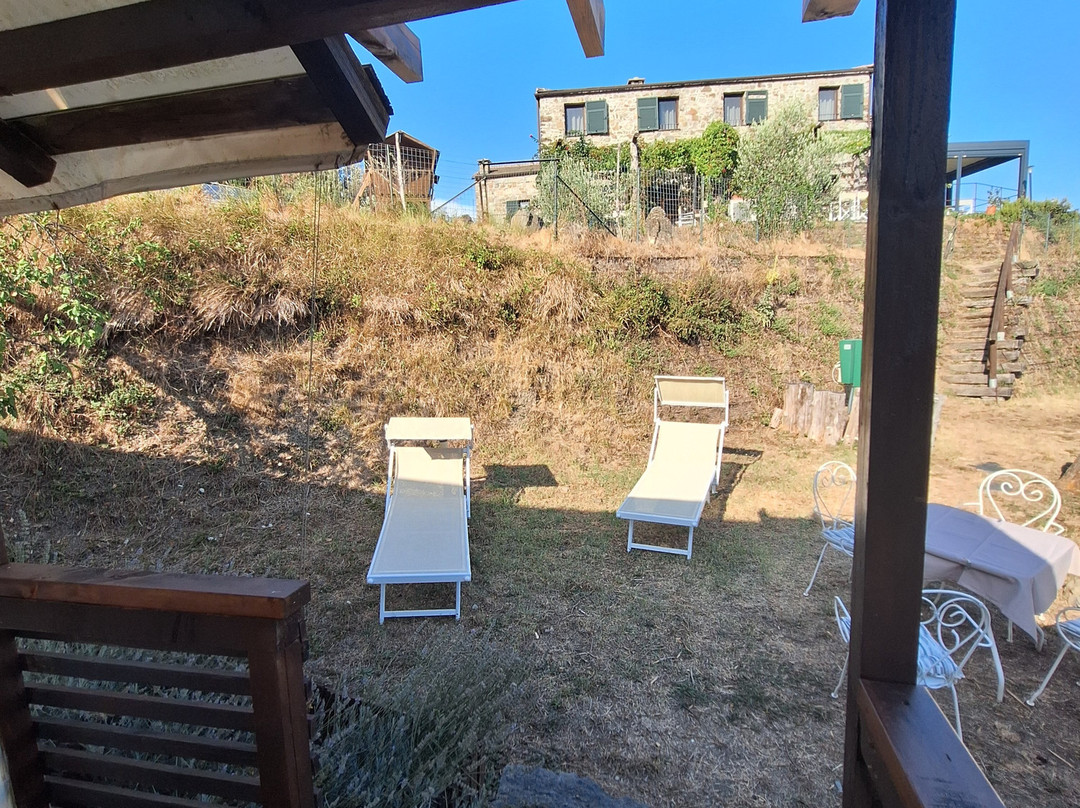 Agriturismo degli Olivi主图