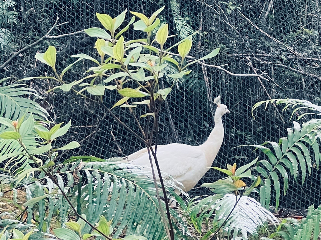 名护Neo自然动植物公园-名护市必去景点