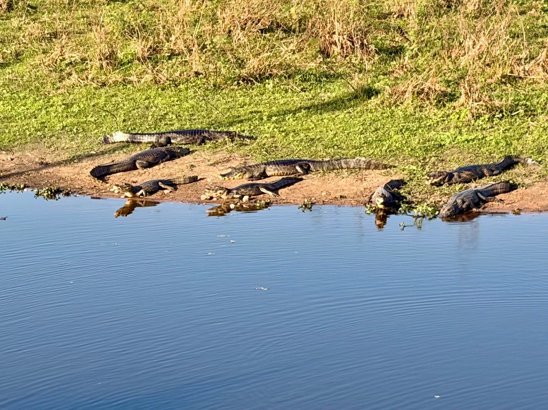Parque Nacional do Pantanal Matogrossense-波科内必去景点