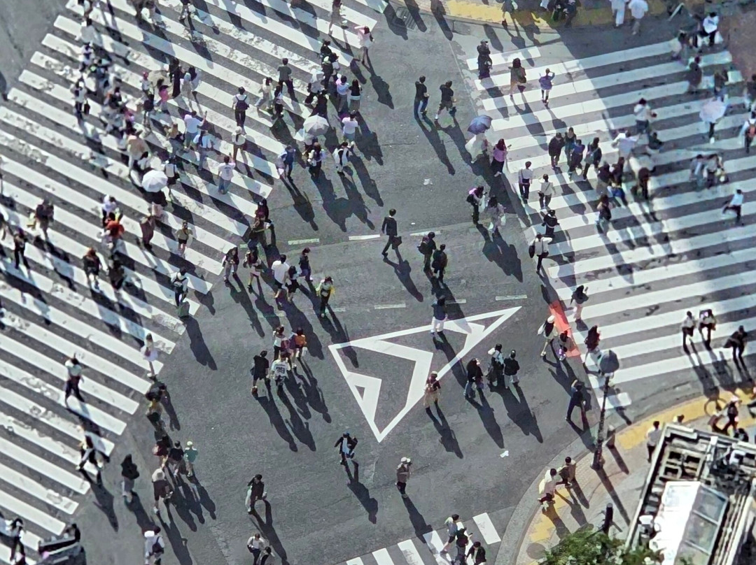 Shibuya Sky-涩谷区必去景点