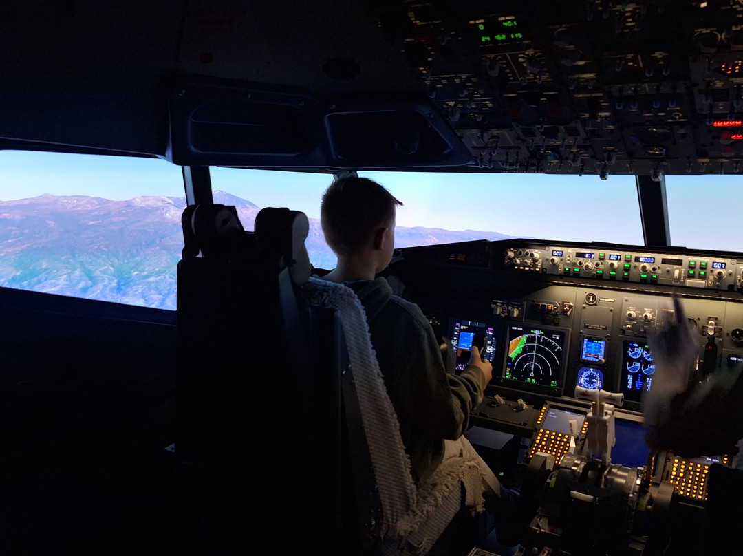 The Flight Experience-纽卡斯尔必去景点