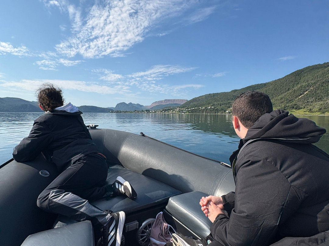 Wild Gros Morne-Trout River必去景点