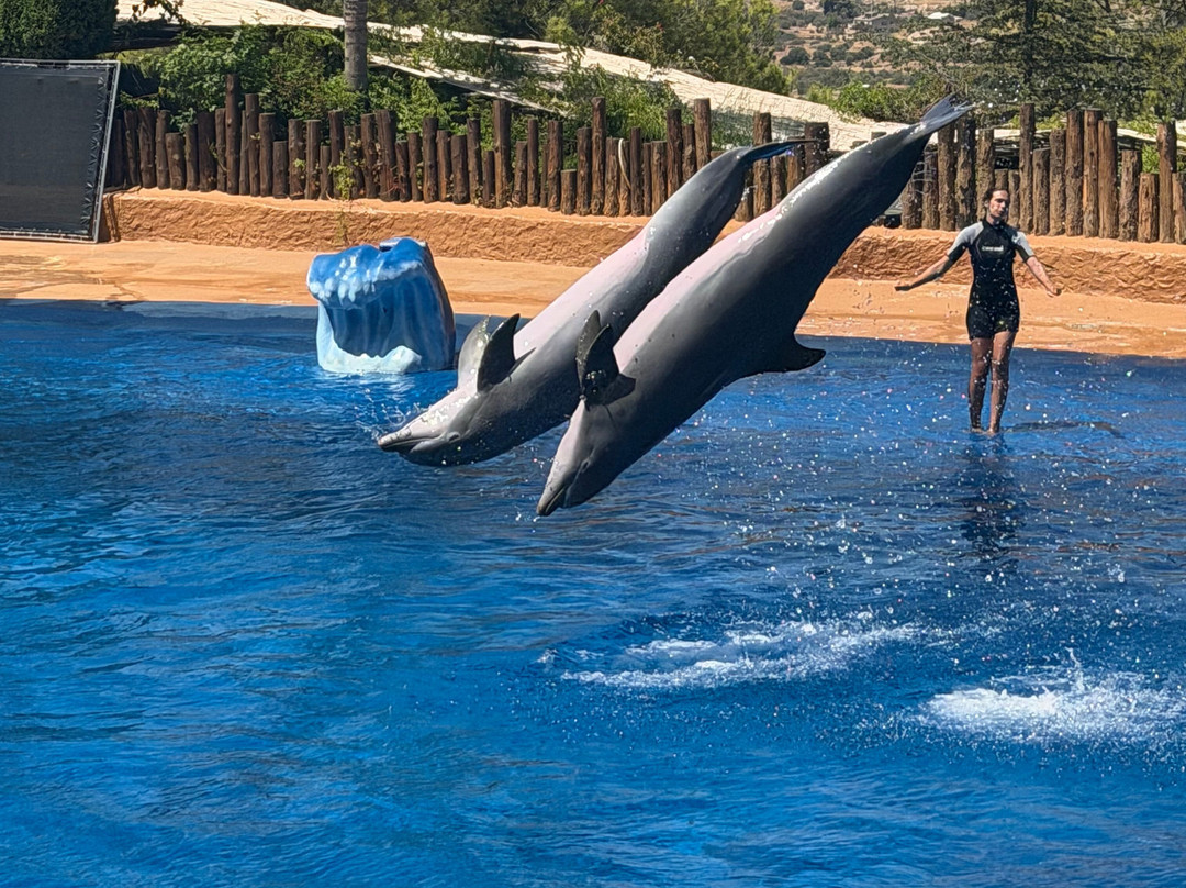 海洋世界水族馆-贝尼多姆必去景点