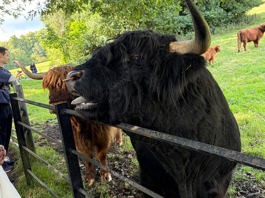波勒克公园-格拉斯哥必去景点