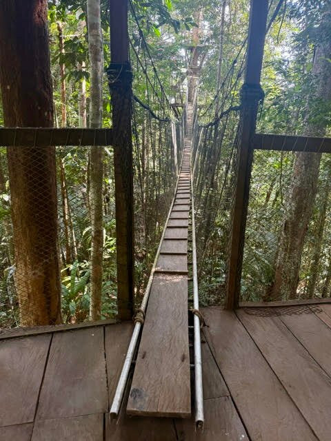 Canopy Walkway-伊基托斯必去景点