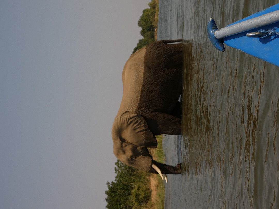 River Horse Safaris-Chirundu必去景点