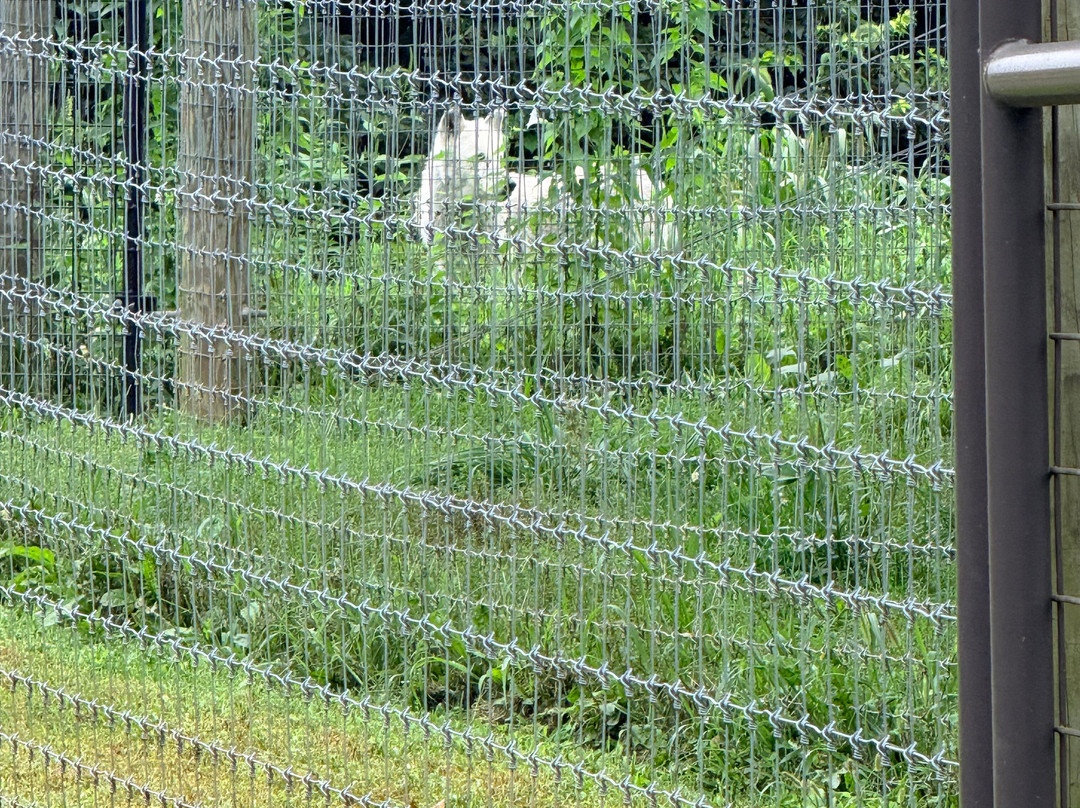 Wolf Sanctuary of PA-利蒂茨必去景点