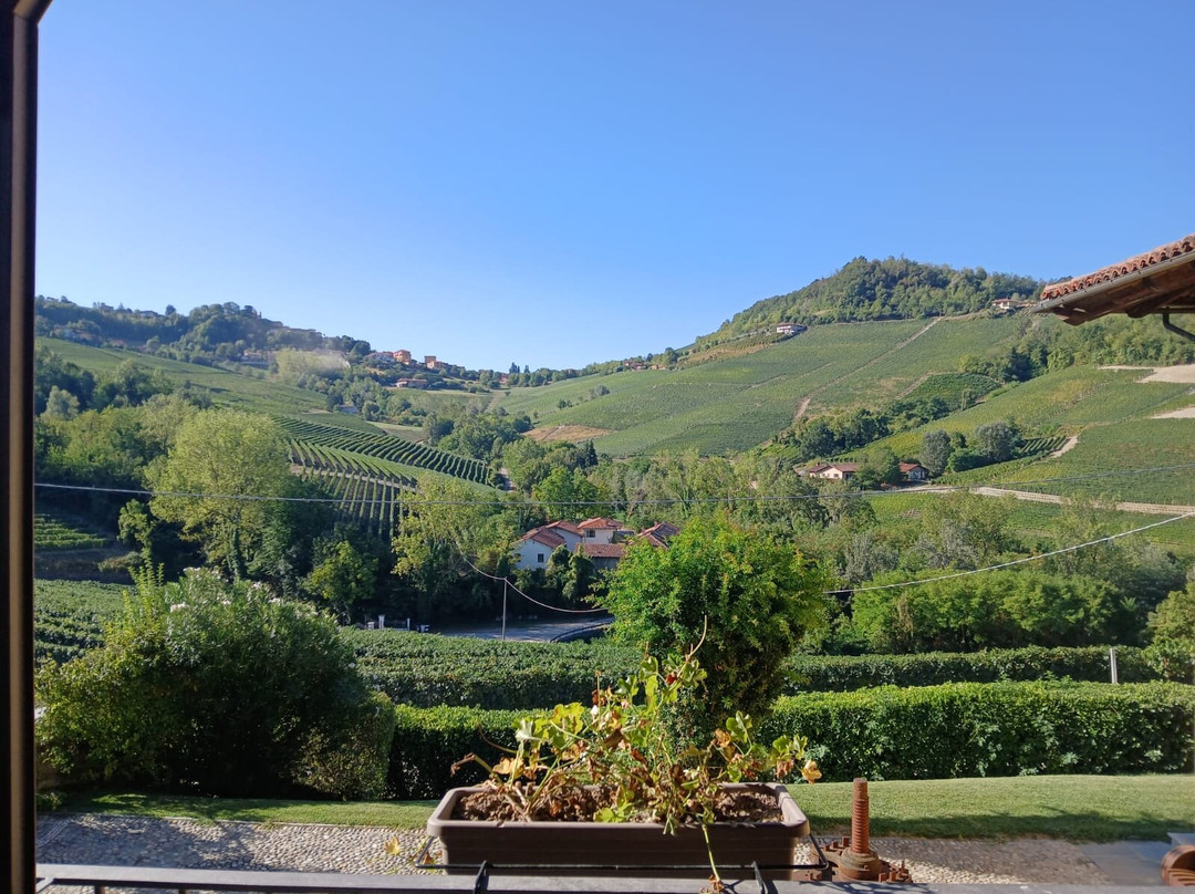 Costa di Bussia - Tenuta Arnulfo-蒙福特-达尔巴必去景点