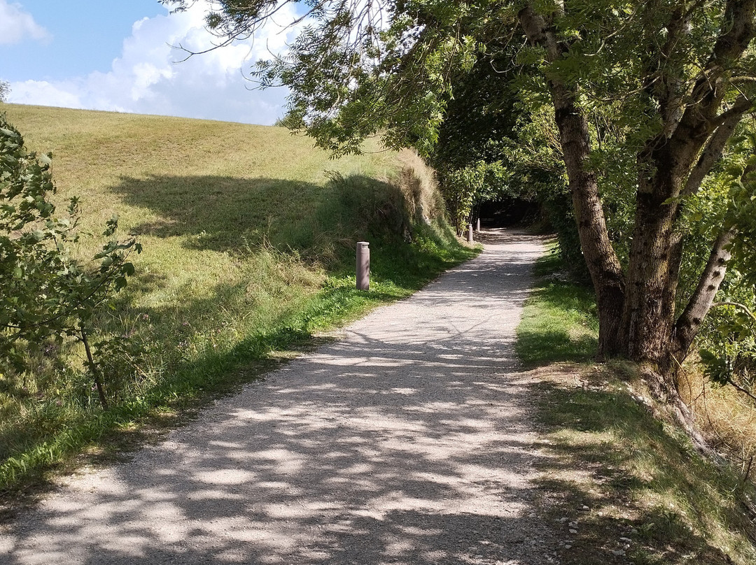 Strada Del Vecchio Trenino-阿夏戈必去景点