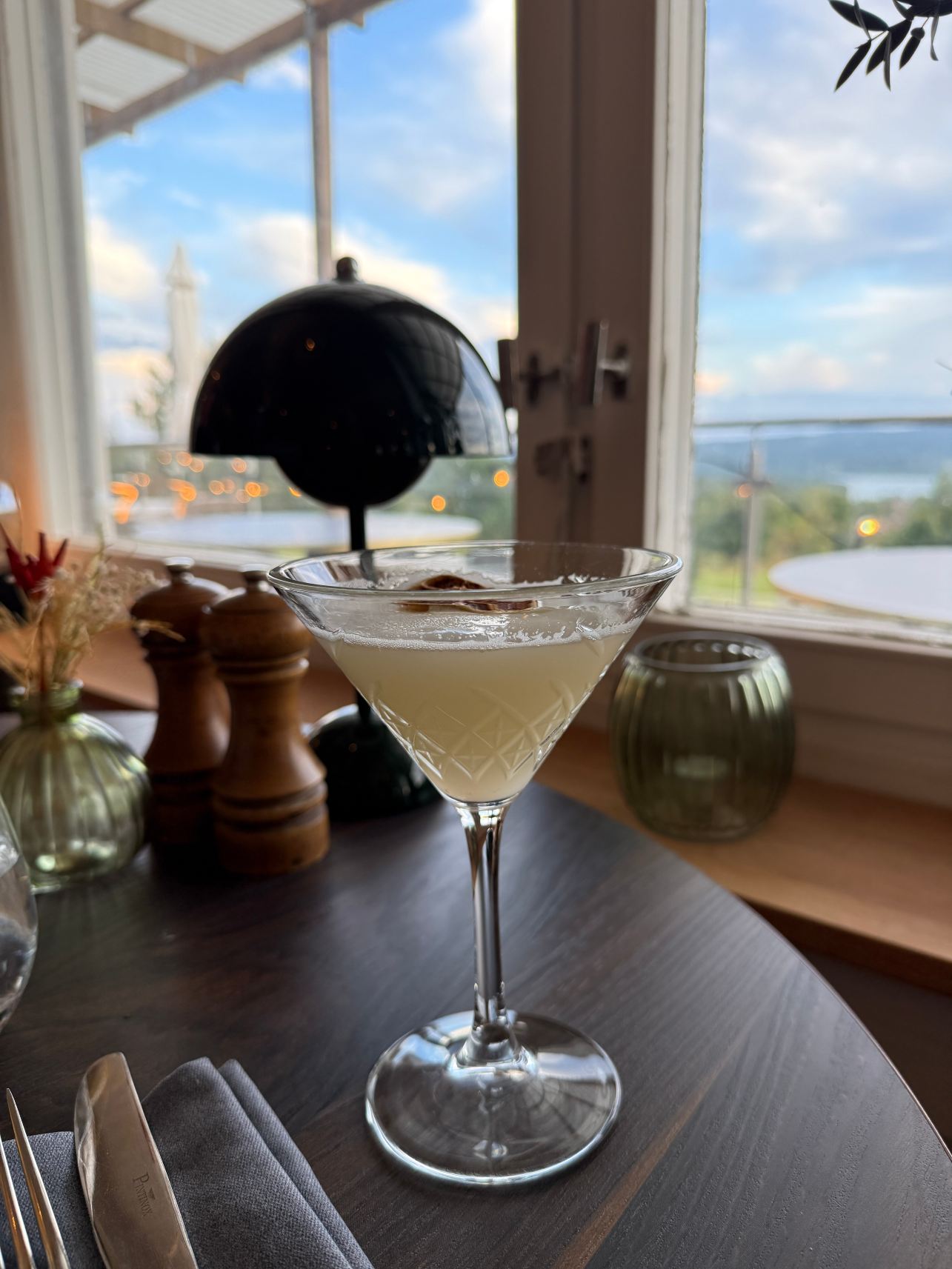 思里珍娜酒店-旅行者