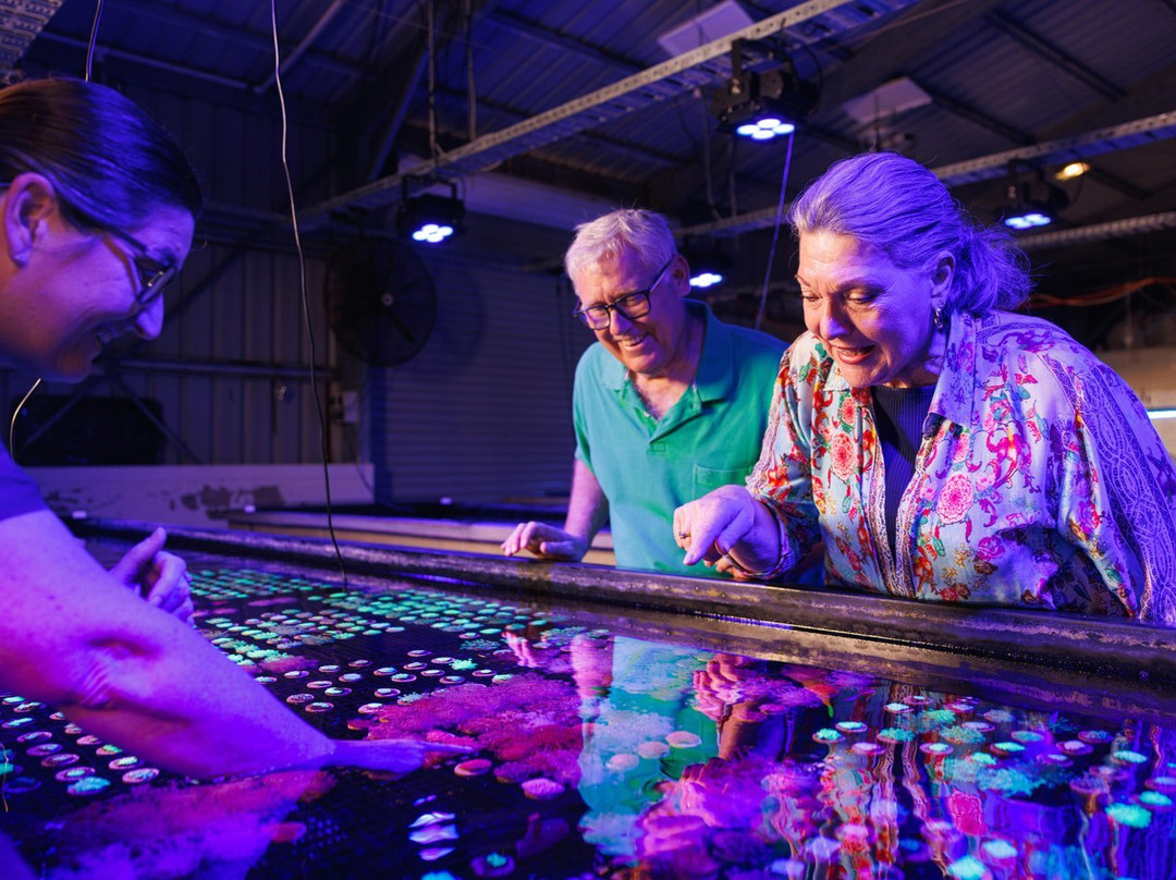 Monsoon Aquatics Coral Farm Tours-Burnett Heads必去景点