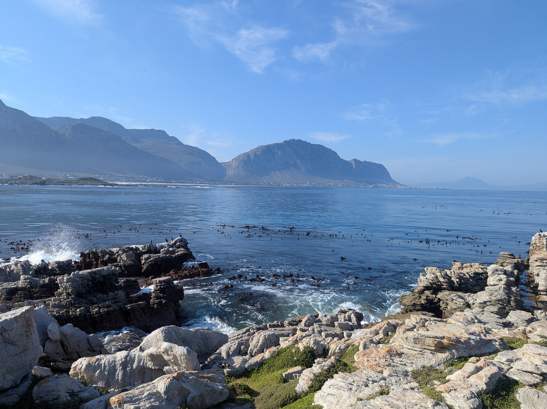 Tash Tours Cape Town-Grassy Park必去景点