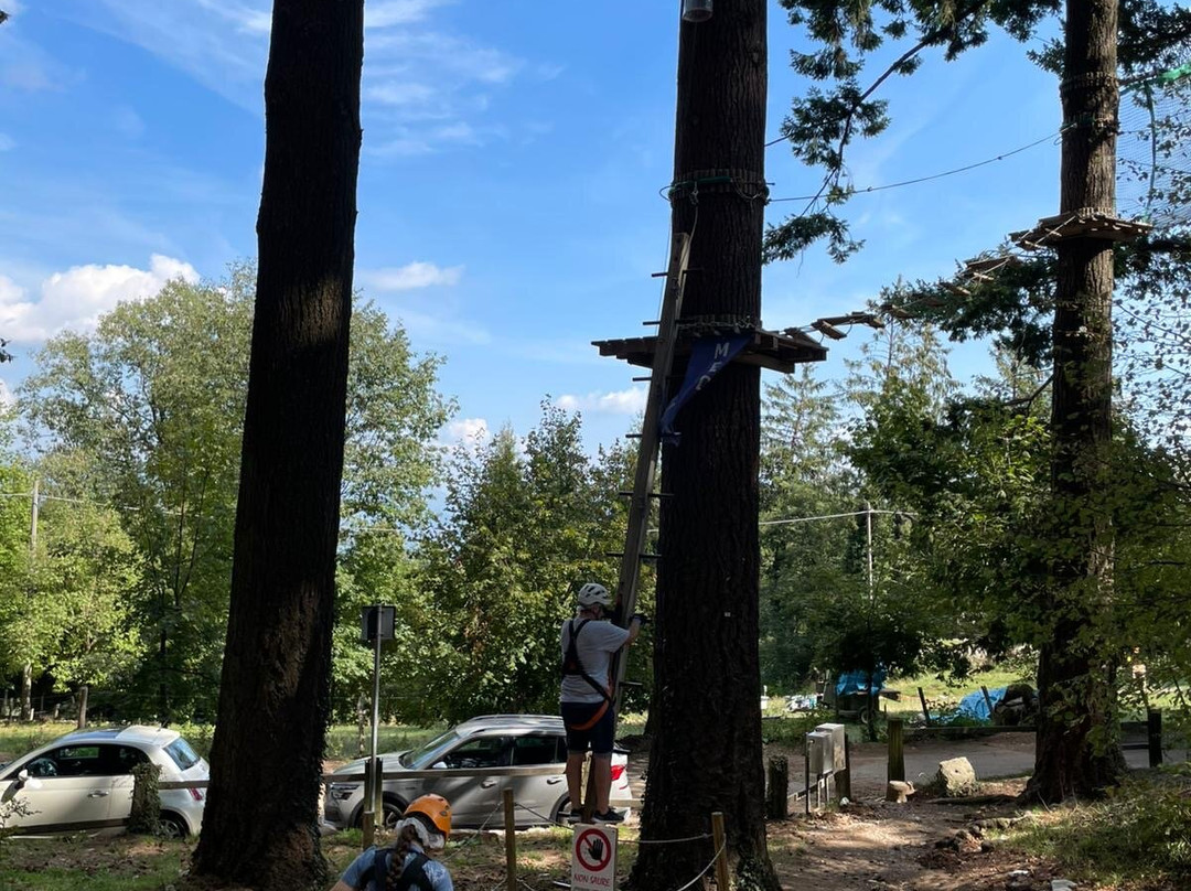Jungle Raider Park-Albavilla必去景点