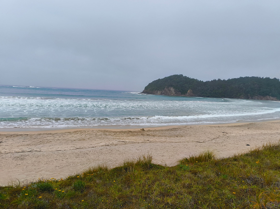 Matapouri Bay-Tutukaka必去景点