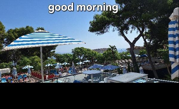 Alua Calvia Mallorca-泳池