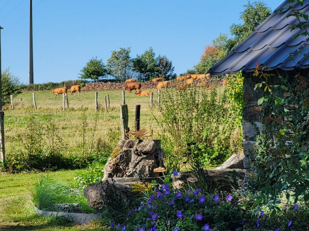 Le Buisson B&B